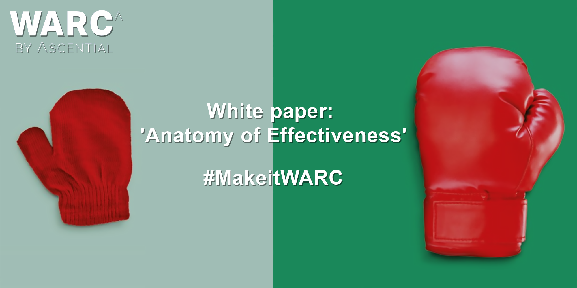 The New White Paper by WARC – Anatomy of Effectiveness